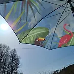 La Perle De - D'hotes - 4* Frayssinet-le-Gélat