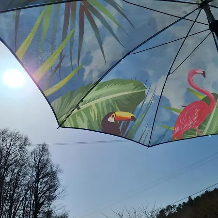 La Perle De Frayssinet-le-gélat - D'hôtes - 4* Frayssinet-le-Gélat