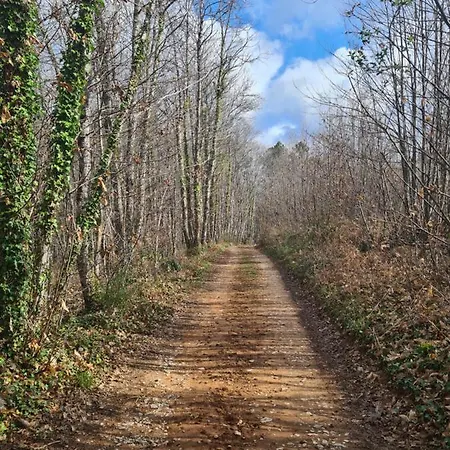Alojamento de Acomodação e Pequeno-almoço La Perle De Frayssinet-le-gélat - D'hôtes -