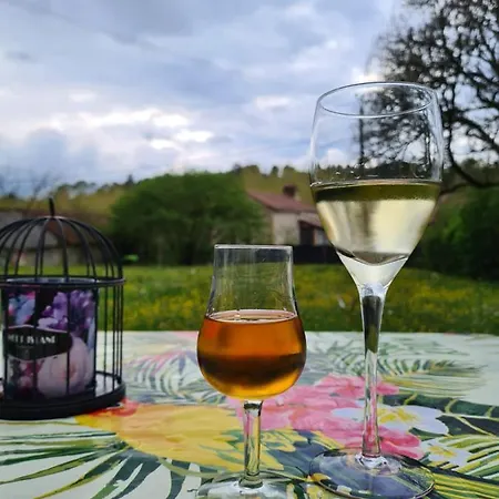 Alojamento de Acomodação e Pequeno-almoço La Perle De Frayssinet-le-gélat - D'hôtes - 4*