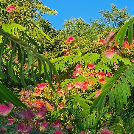 La Perle De Frayssinet-le-gélat - D'hôtes - Alojamento de Acomodação e Pequeno-almoço 4*